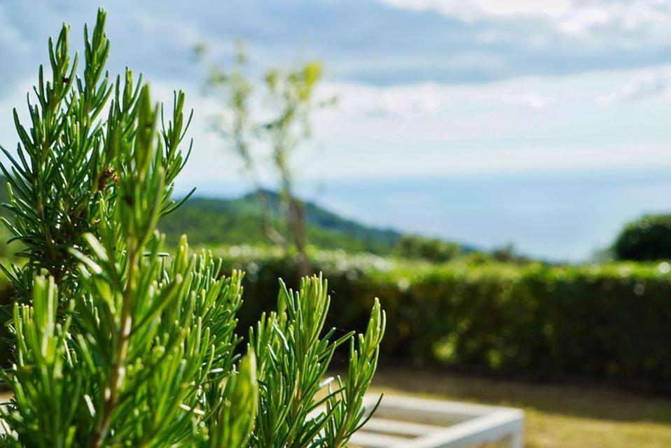 B&B Il Piccolo Paradiso Montenero  Εξωτερικό φωτογραφία