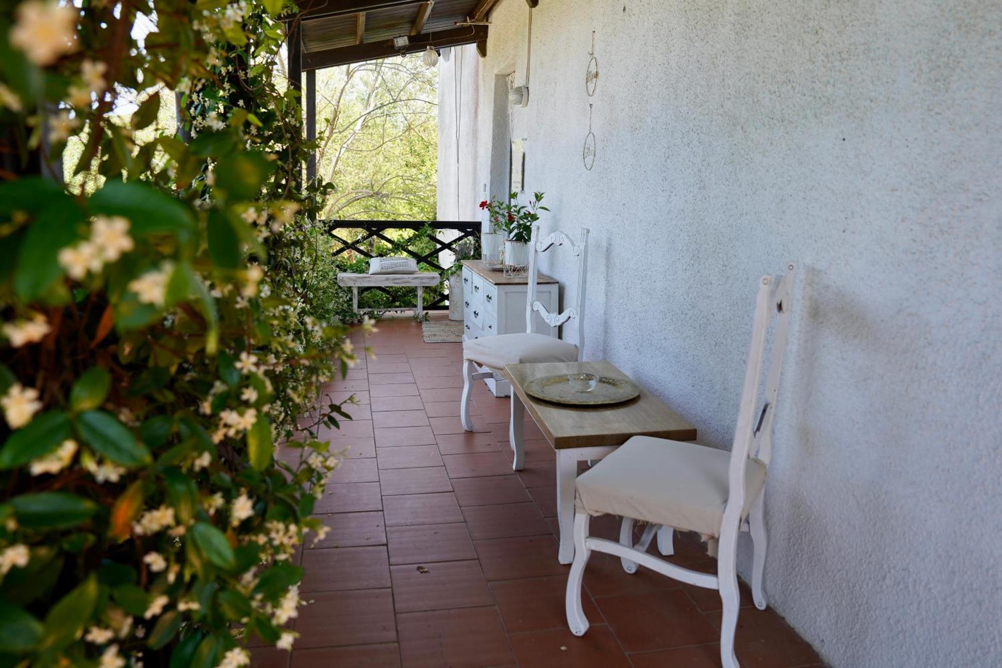 B&B Il Piccolo Paradiso Montenero  Εξωτερικό φωτογραφία